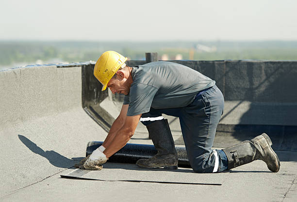 Best Eco-Friendly Insulation in Coeur Dalene, ID